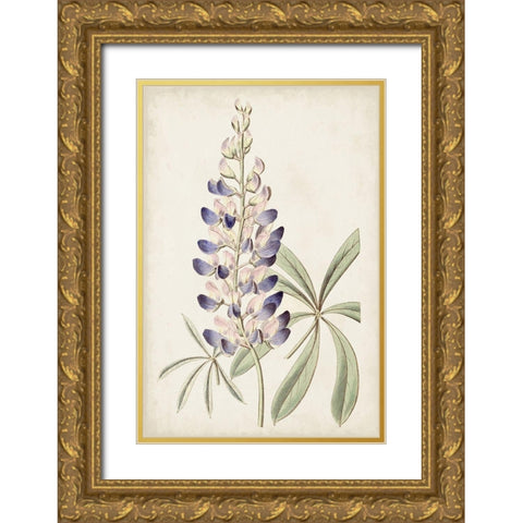 Antique Botanical Collection II Gold Ornate Wood Framed Art Print with Double Matting by Ridgeway