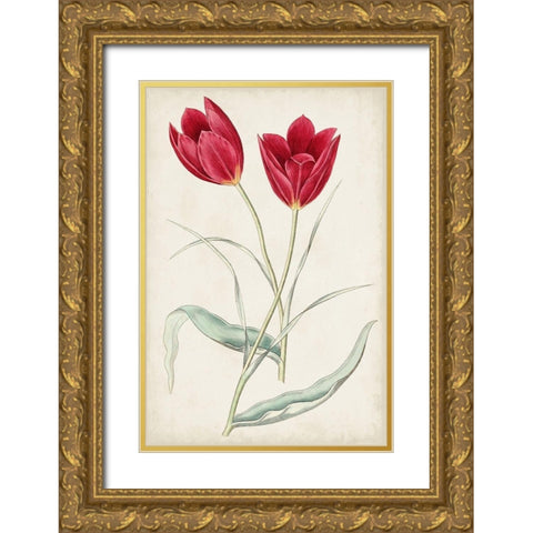 Antique Botanical Collection III Gold Ornate Wood Framed Art Print with Double Matting by Ridgeway