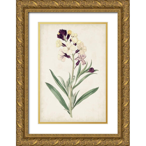 Antique Botanical Collection VII Gold Ornate Wood Framed Art Print with Double Matting by Ridgeway