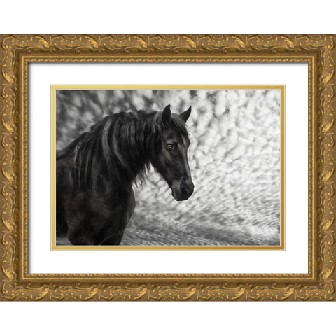 Equine Portrait III Gold Ornate Wood Framed Art Print with Double Matting by PHBurchett