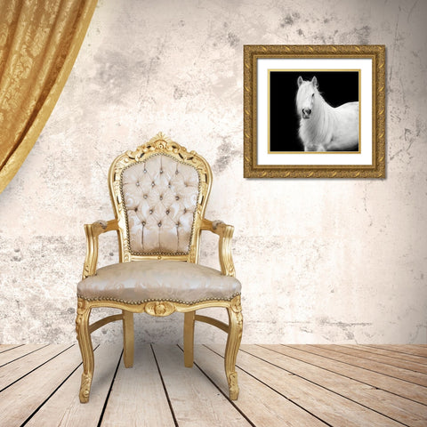 Equine Portrait V Gold Ornate Wood Framed Art Print with Double Matting by PHBurchett