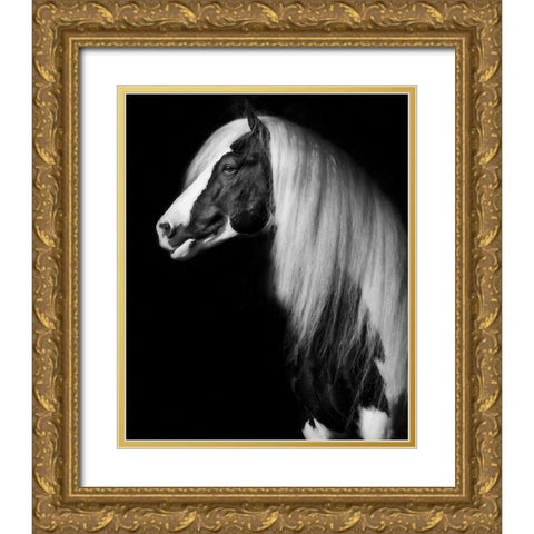Equine Portrait VII Gold Ornate Wood Framed Art Print with Double Matting by PHBurchett