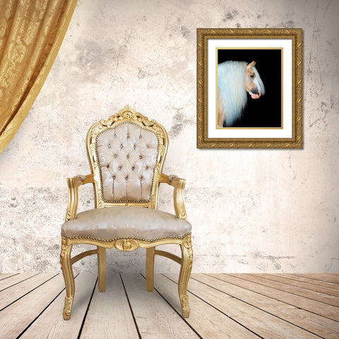 Equine Portrait VIII Gold Ornate Wood Framed Art Print with Double Matting by PHBurchett