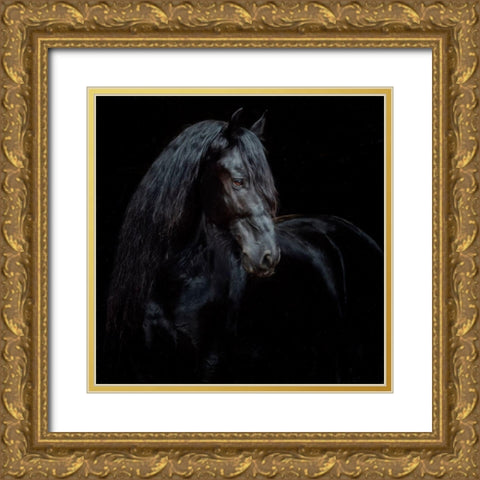 Equine Portrait XI Gold Ornate Wood Framed Art Print with Double Matting by PHBurchett