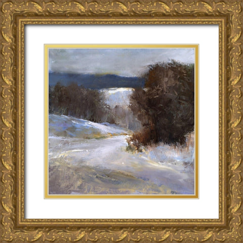 Down Slope Gold Ornate Wood Framed Art Print with Double Matting by Finch, Sheila