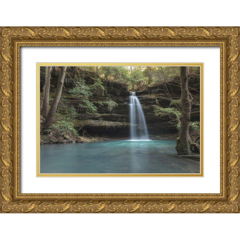Crystal Blue Gold Ornate Wood Framed Art Print with Double Matting by Head, Danny