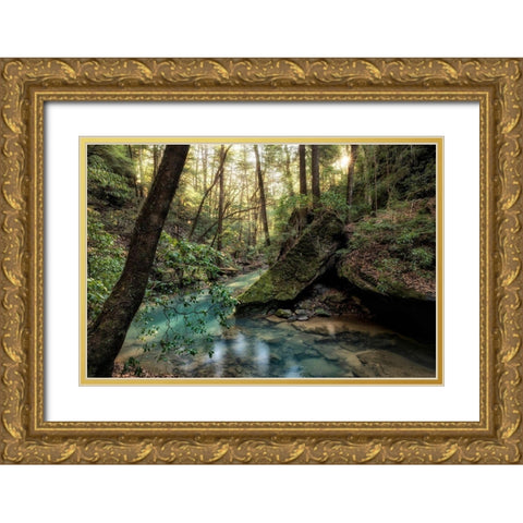 Filtered Light I Gold Ornate Wood Framed Art Print with Double Matting by Head, Danny