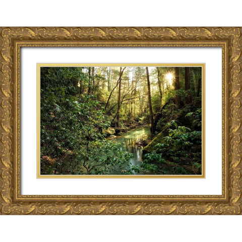 Filtered Light II Gold Ornate Wood Framed Art Print with Double Matting by Head, Danny