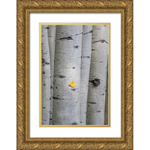 Stuck On You Gold Ornate Wood Framed Art Print with Double Matting by Head, Danny