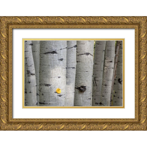 Stuck On You Too Gold Ornate Wood Framed Art Print with Double Matting by Head, Danny