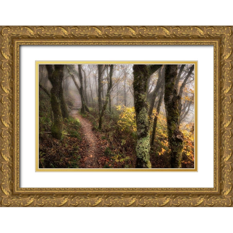 Fog Ahead Gold Ornate Wood Framed Art Print with Double Matting by Head, Danny