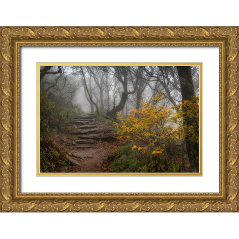 Stone Steps Gold Ornate Wood Framed Art Print with Double Matting by Head, Danny