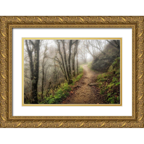 Narrow Path Gold Ornate Wood Framed Art Print with Double Matting by Head, Danny