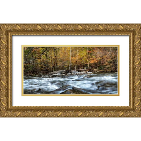 The Foot Bridge Gold Ornate Wood Framed Art Print with Double Matting by Head, Danny