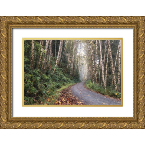 Mountain Drive Gold Ornate Wood Framed Art Print with Double Matting by Head, Danny