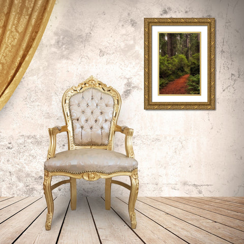 Forest Path III Gold Ornate Wood Framed Art Print with Double Matting by Head, Danny