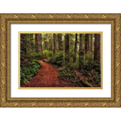 A Walk in the Woods II Gold Ornate Wood Framed Art Print with Double Matting by Head, Danny