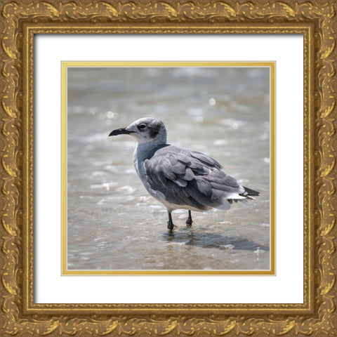 Knee Deep Gold Ornate Wood Framed Art Print with Double Matting by Head, Danny