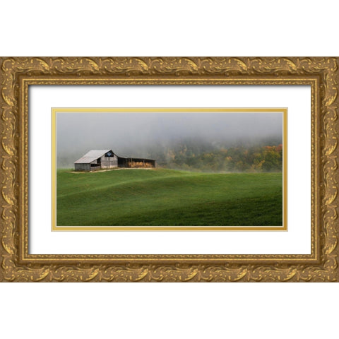 Mountain Air Gold Ornate Wood Framed Art Print with Double Matting by Head, Danny