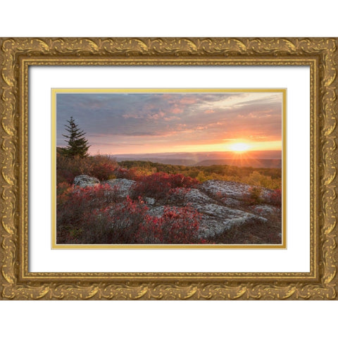 Good Morning Gold Ornate Wood Framed Art Print with Double Matting by Head, Danny
