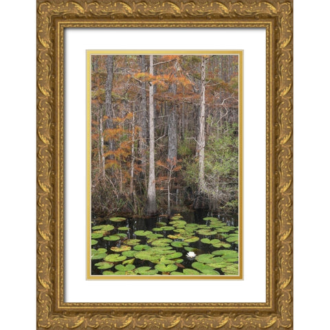 Black Water II Gold Ornate Wood Framed Art Print with Double Matting by Head, Danny