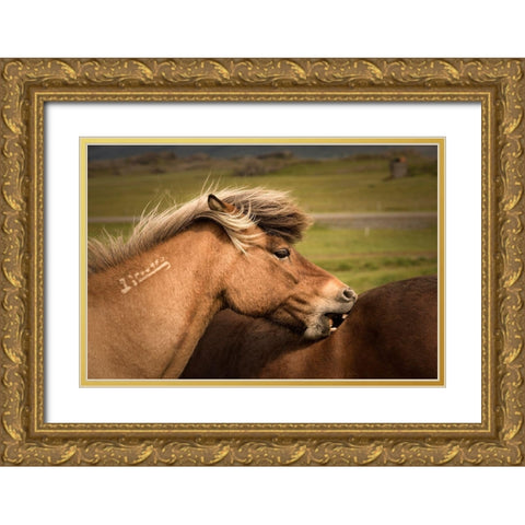 Rough Play Gold Ornate Wood Framed Art Print with Double Matting by Head, Danny