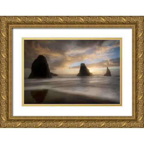 Sea Stack and Surf Gold Ornate Wood Framed Art Print with Double Matting by Head, Danny