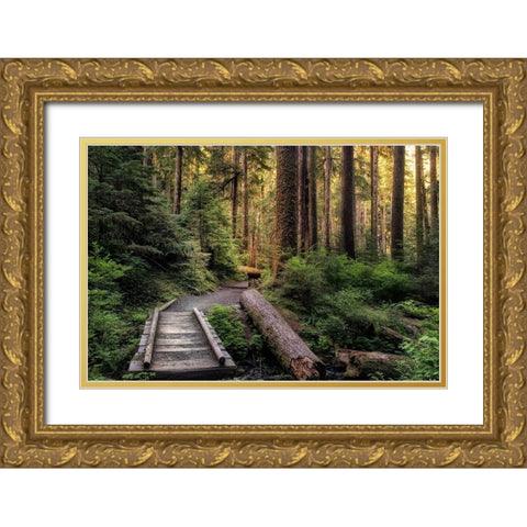 Morning Calls Gold Ornate Wood Framed Art Print with Double Matting by Head, Danny
