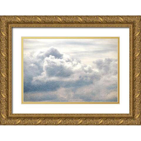 From Above II Gold Ornate Wood Framed Art Print with Double Matting by Chandler, Sharon