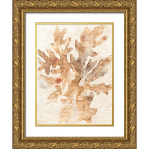 Parchment Coral IV Gold Ornate Wood Framed Art Print with Double Matting by Vess, June Erica