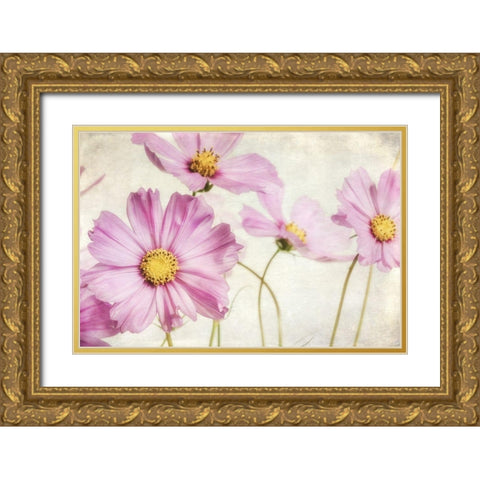 Pink Cosmos I Gold Ornate Wood Framed Art Print with Double Matting by Poinski, Dianne