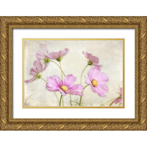 Pink Cosmos II Gold Ornate Wood Framed Art Print with Double Matting by Poinski, Dianne