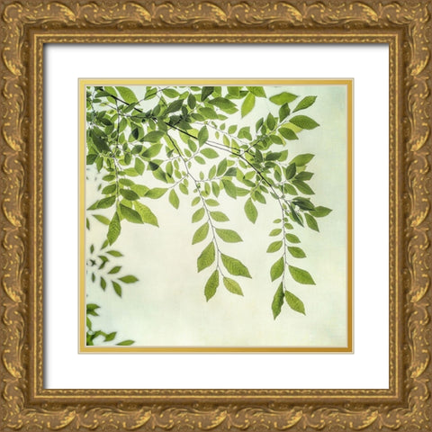 Summer Light I Gold Ornate Wood Framed Art Print with Double Matting by Poinski, Dianne