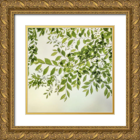 Summer Light II Gold Ornate Wood Framed Art Print with Double Matting by Poinski, Dianne