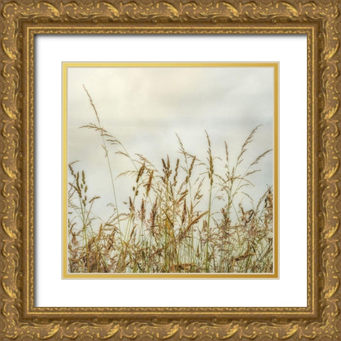 Bluff Grass I Gold Ornate Wood Framed Art Print with Double Matting by Poinski, Dianne