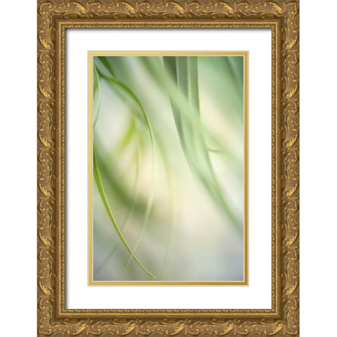 Harmonic I Gold Ornate Wood Framed Art Print with Double Matting by Poinski, Dianne