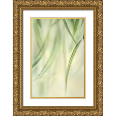 Harmonic II Gold Ornate Wood Framed Art Print with Double Matting by Poinski, Dianne