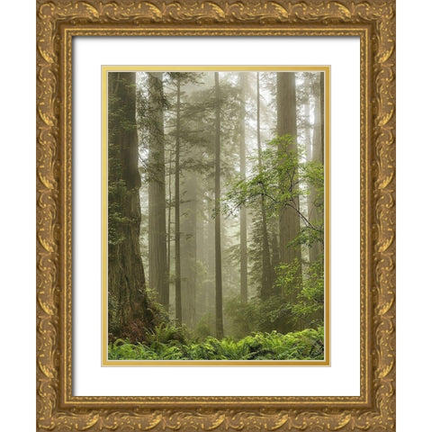 Summer Forest II Gold Ornate Wood Framed Art Print with Double Matting by Poinski, Dianne