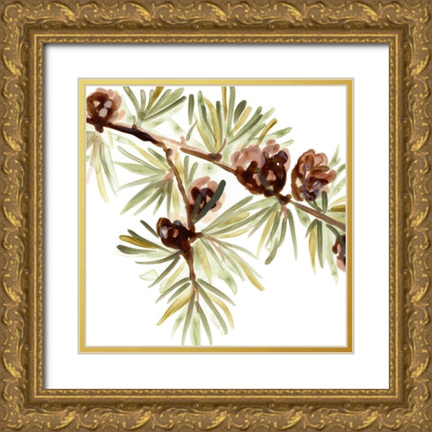 Simple Pine Cone III Gold Ornate Wood Framed Art Print with Double Matting by Vess, June Erica