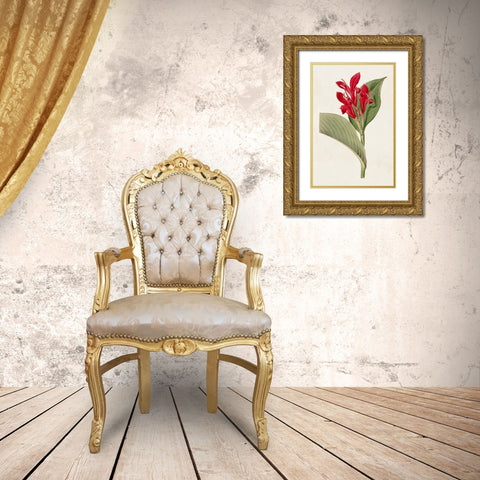 Flora of the Tropics IV Gold Ornate Wood Framed Art Print with Double Matting by Unknown