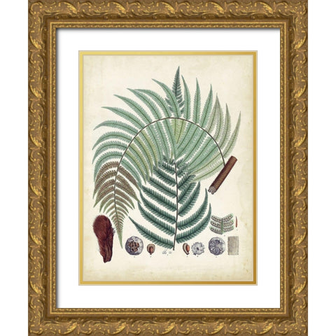 Collected Ferns I Gold Ornate Wood Framed Art Print with Double Matting by Unknown