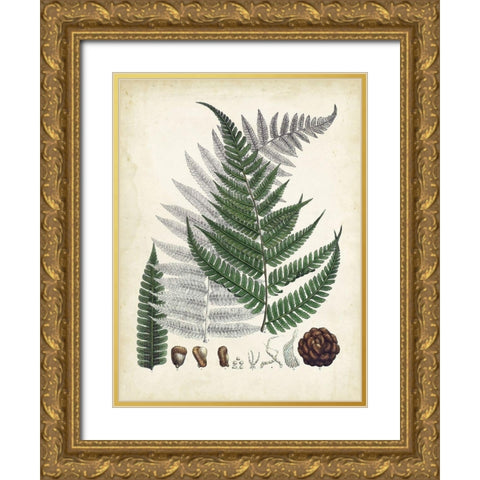 Collected Ferns II Gold Ornate Wood Framed Art Print with Double Matting by Unknown