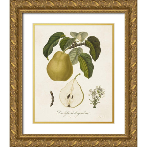 Vintage Pears I Gold Ornate Wood Framed Art Print with Double Matting by de Langlois
