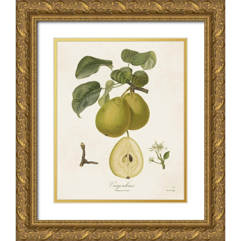 Vintage Pears III Gold Ornate Wood Framed Art Print with Double Matting by de Langlois