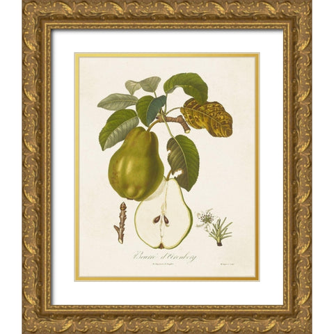 Vintage Pears IV Gold Ornate Wood Framed Art Print with Double Matting by de Langlois