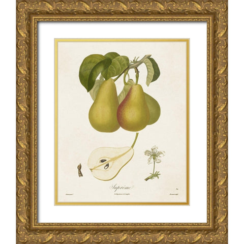 Vintage Pears V Gold Ornate Wood Framed Art Print with Double Matting by de Langlois