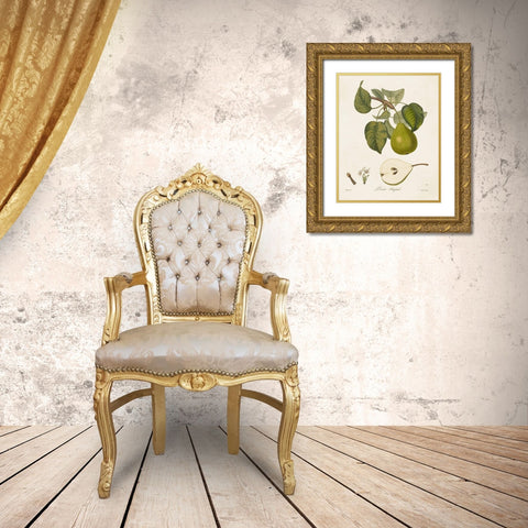 Vintage Pears VI Gold Ornate Wood Framed Art Print with Double Matting by de Langlois
