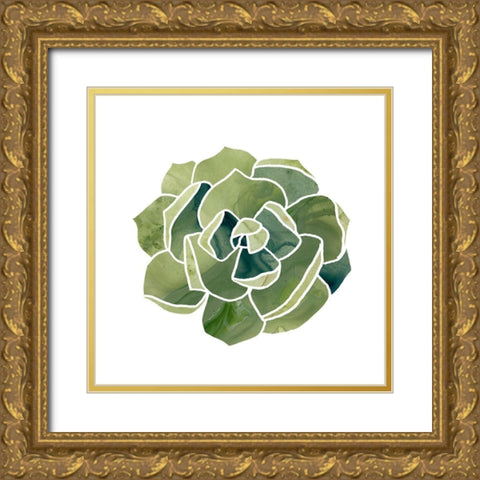 Succulent Cameo III Gold Ornate Wood Framed Art Print with Double Matting by Vess, June Erica