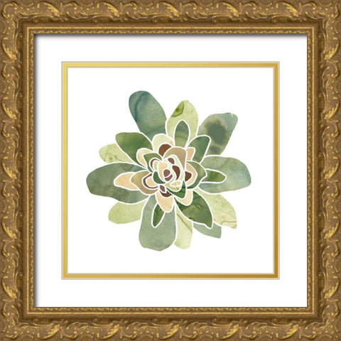 Succulent Cameo XI Gold Ornate Wood Framed Art Print with Double Matting by Vess, June Erica