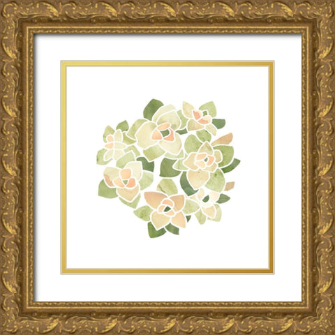 Succulent Cameo XII Gold Ornate Wood Framed Art Print with Double Matting by Vess, June Erica